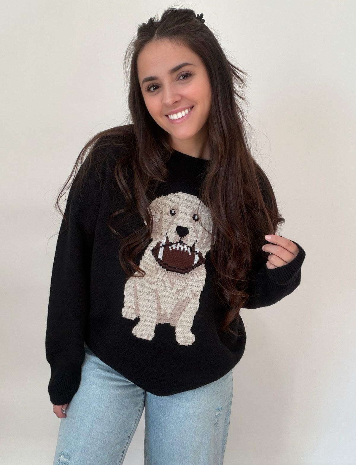 Touchdown Pup Sweater