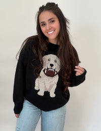 Touchdown Pup Sweater