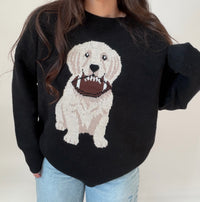 Touchdown Pup Sweater