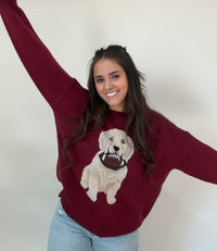 Touchdown Pup Sweater